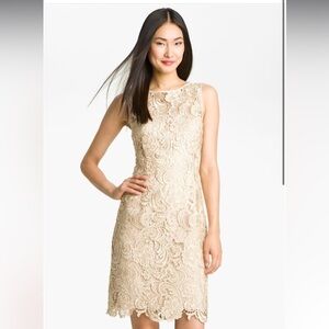 Adrianna Papel Illusions Yoke Lace Beige Sheath Dress